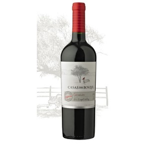Casas del Bosque Carmenere Reserva