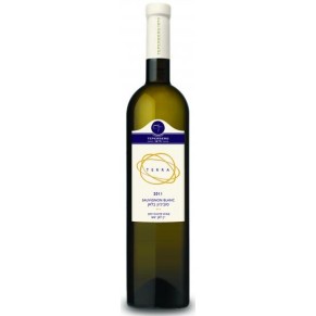 Teperberg Terra Sauvignon Blanc