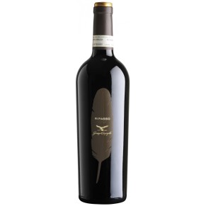 Giuseppe Campagnola Valpolicella Classico Ripasso