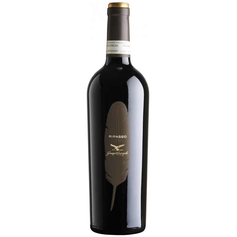 Giuseppe Campagnola Valpolicella Classico Ripasso