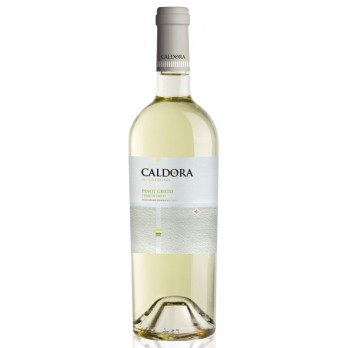 Caldora Pinot Grigio