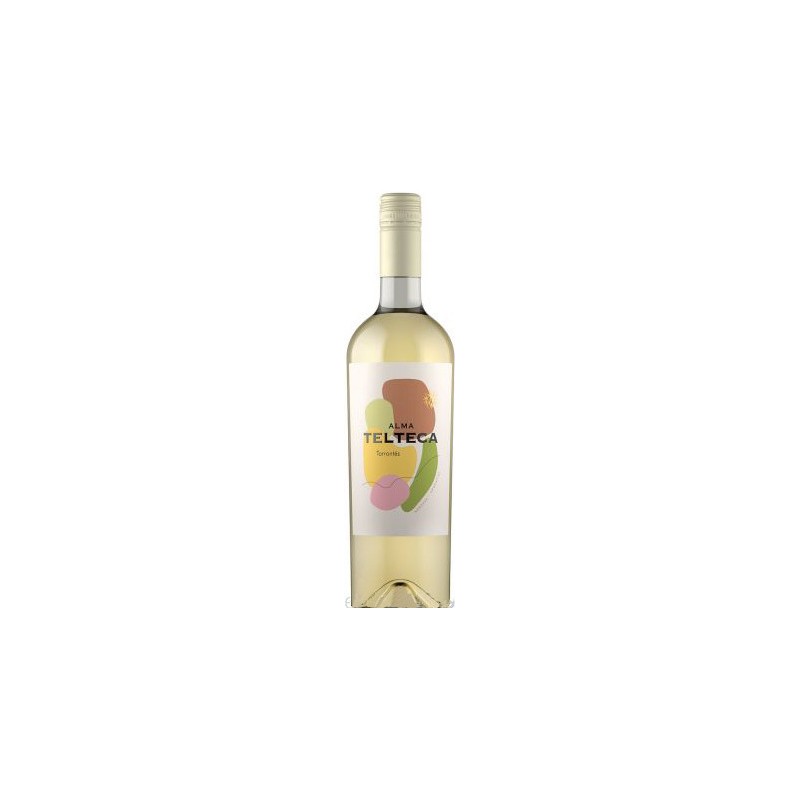 ALMA Telteca Torrontes