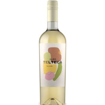 ALMA Telteca Torrontes