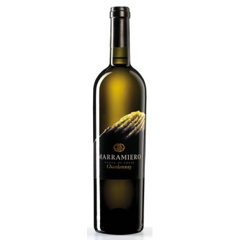 Punta di Colle Chardonnay z Abruzji