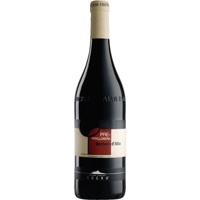 Elvio Cogno Barbera d'Alba Pre-Phylloxera