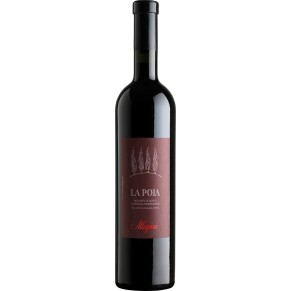 Allegrini La Poja Corvina Veronese wino