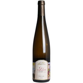 Guy Wach Clevner Pinot Blanc - wino z Alzacji