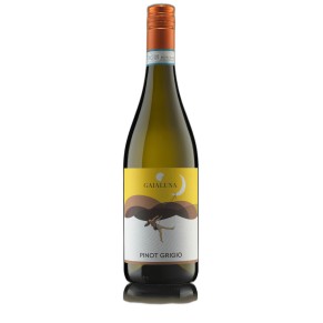 Gaialuna Pinot Grigio - Elegancja z Friuli