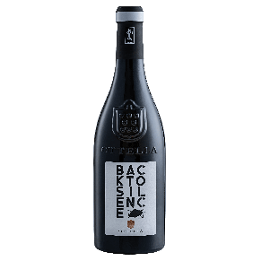 Ottella Back to Sielence - Włoskie Wino z Veneto