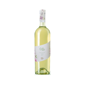 Terre Carsiche MIO BIANCO PUGLIA IGT BIAŁE - Elegancja z Apulii