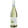 Trebbiano D'abruzzo