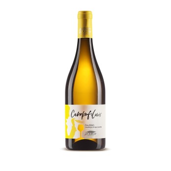 Cantina Ruscio Falerio DOC Campofilone - Wino z Marche
