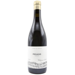 Telmo Rodriguez Pegaso Granito DOP Cebreros