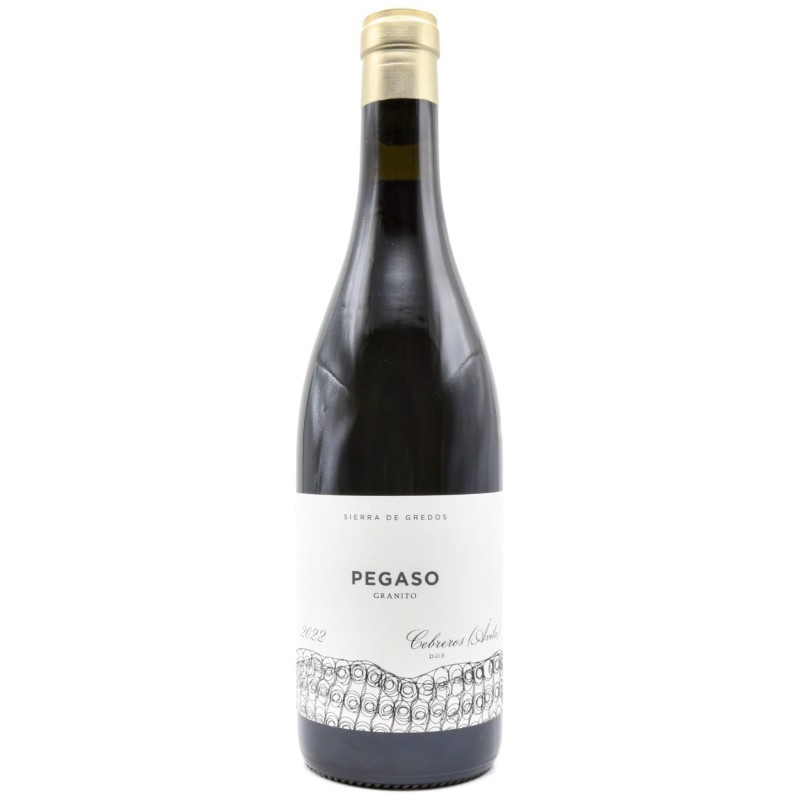 Telmo Rodriguez Pegaso Granito DOP