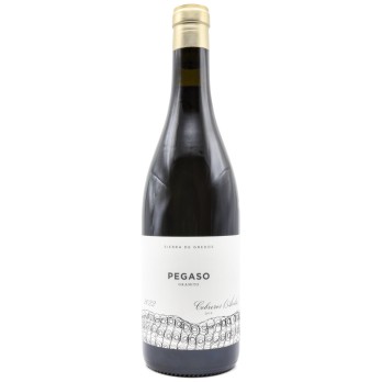 Telmo Rodriguez Pegaso Granito DOP Cebreros