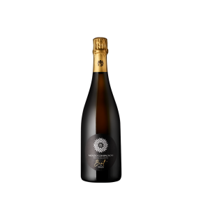 Monzio Compagnoni Franciacorta Brut NV DOCg