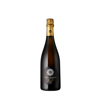 Monzio Compagnoni Franciacorta Brut NV DOCg