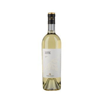 Terra D'aligi Zite - Wino z Terre di Chieti